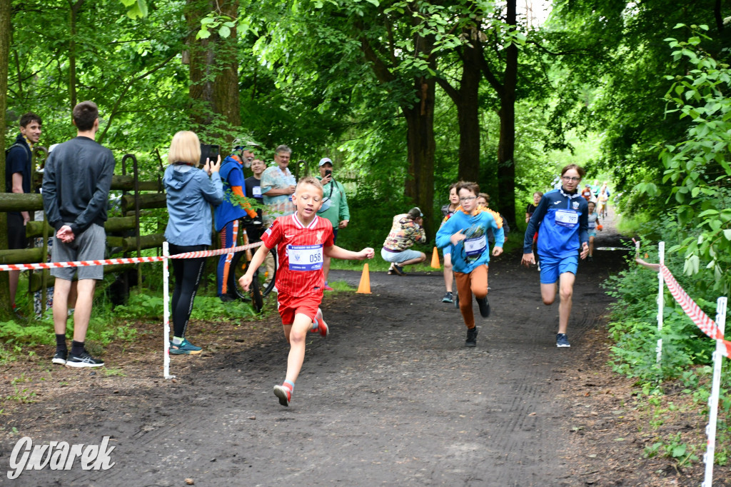 Pniowiec. Charytatywny Bartusiowy Bieg Nordicusa