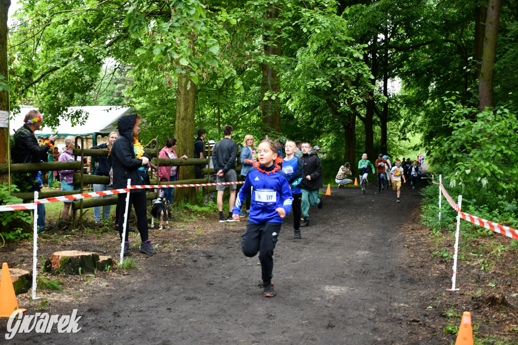 Pniowiec. Charytatywny Bartusiowy Bieg Nordicusa