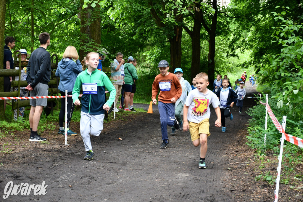 Pniowiec. Charytatywny Bartusiowy Bieg Nordicusa