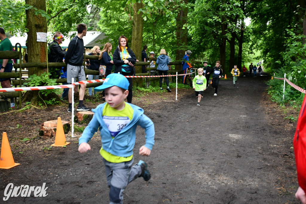 Pniowiec. Charytatywny Bartusiowy Bieg Nordicusa