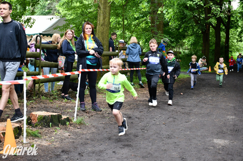 Pniowiec. Charytatywny Bartusiowy Bieg Nordicusa