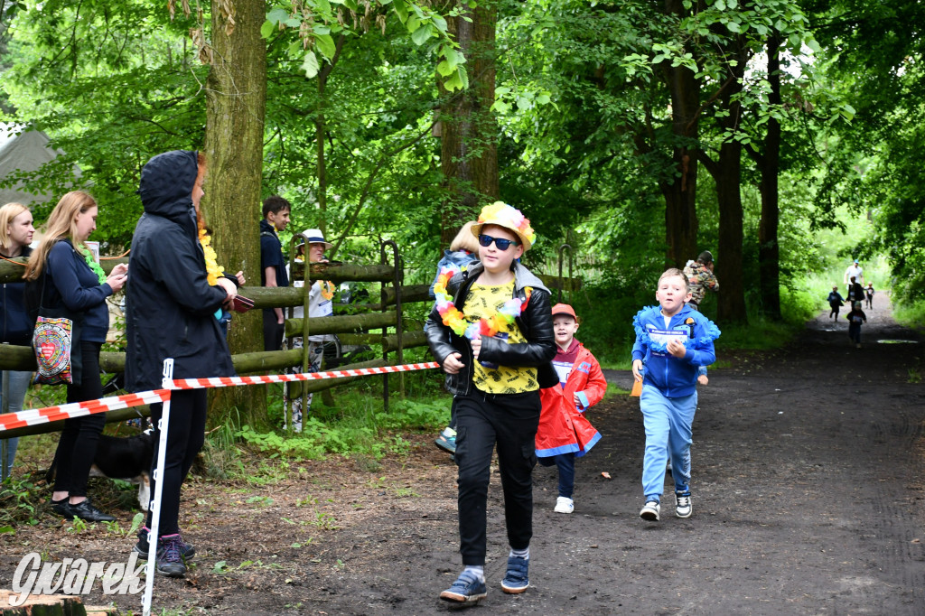 Pniowiec. Charytatywny Bartusiowy Bieg Nordicusa