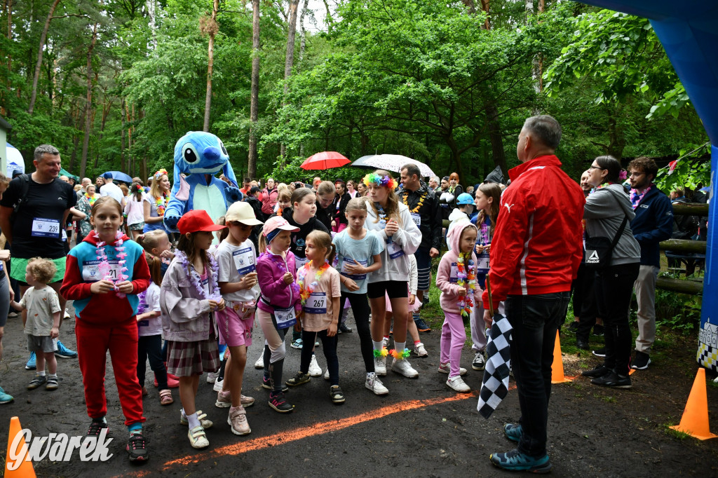 Pniowiec. Charytatywny Bartusiowy Bieg Nordicusa