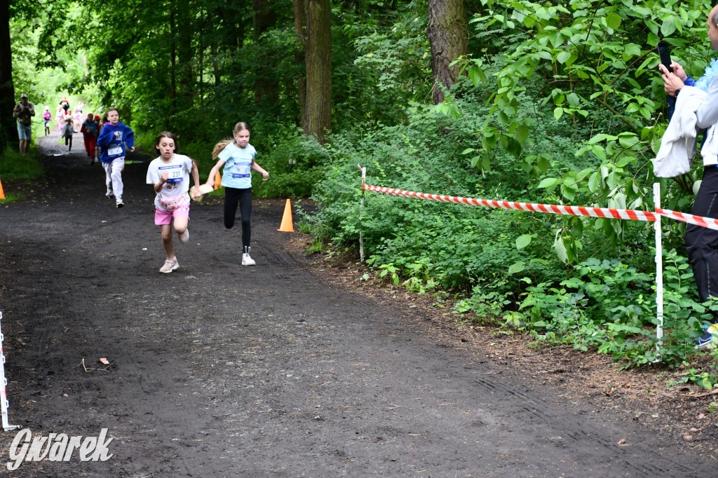 Pniowiec. Charytatywny Bartusiowy Bieg Nordicusa