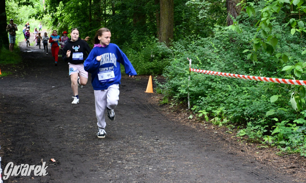 Pniowiec. Charytatywny Bartusiowy Bieg Nordicusa