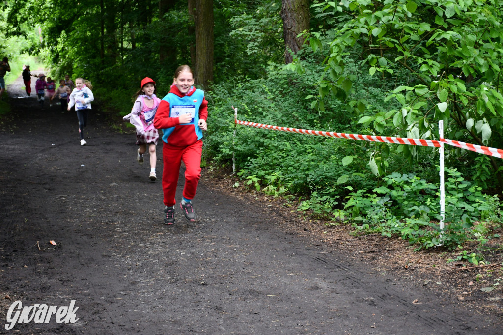 Pniowiec. Charytatywny Bartusiowy Bieg Nordicusa