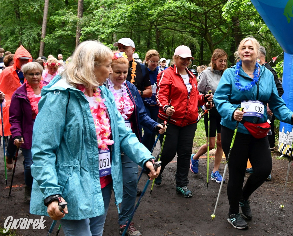 Pniowiec. Charytatywny Bartusiowy Bieg Nordicusa