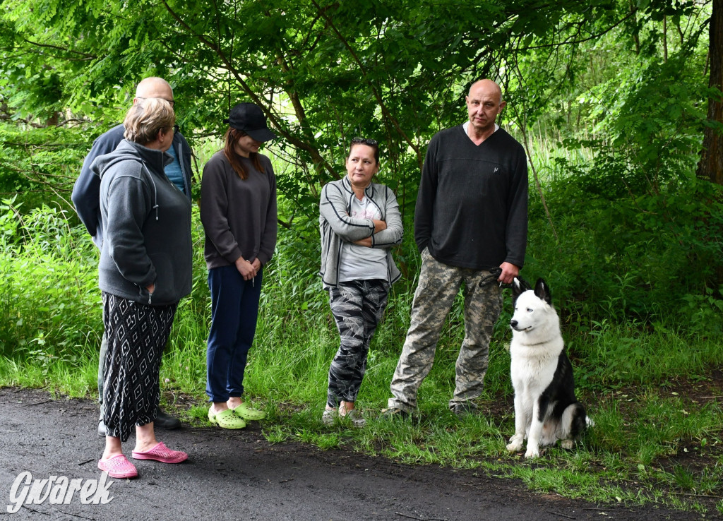 Pniowiec. Charytatywny Bartusiowy Bieg Nordicusa
