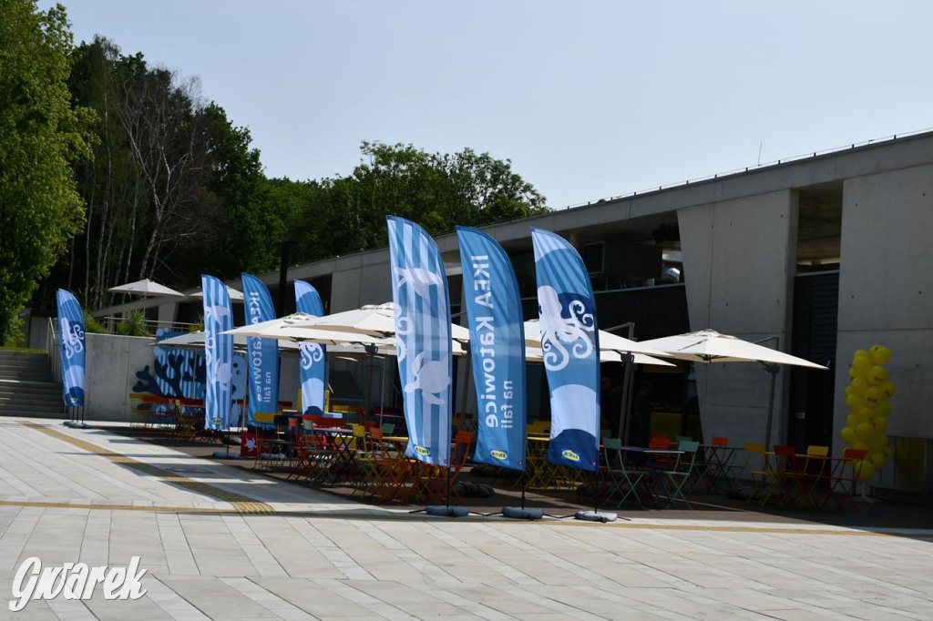 Fala w Parku Śląskim. Wielkie otwarcie kąpieliska