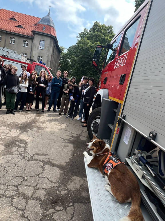 Tarnowskie Góry. Akcja przed Chemikiem, konferencja...