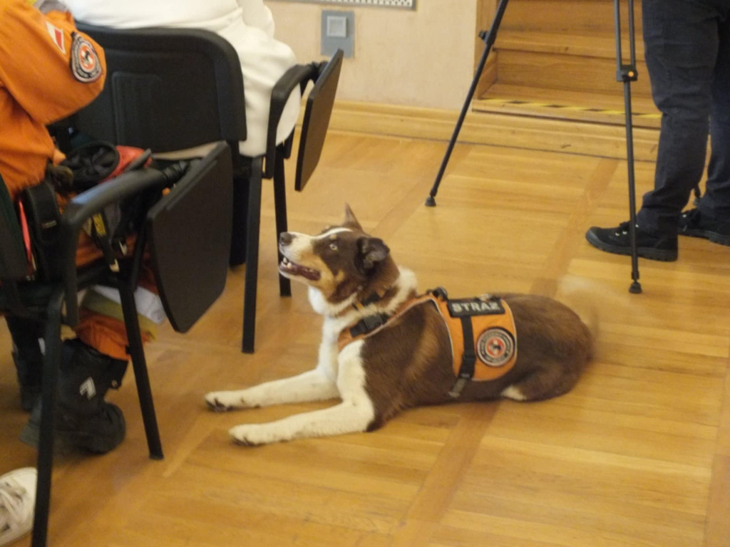 Tarnowskie Góry. Akcja przed Chemikiem, konferencja...