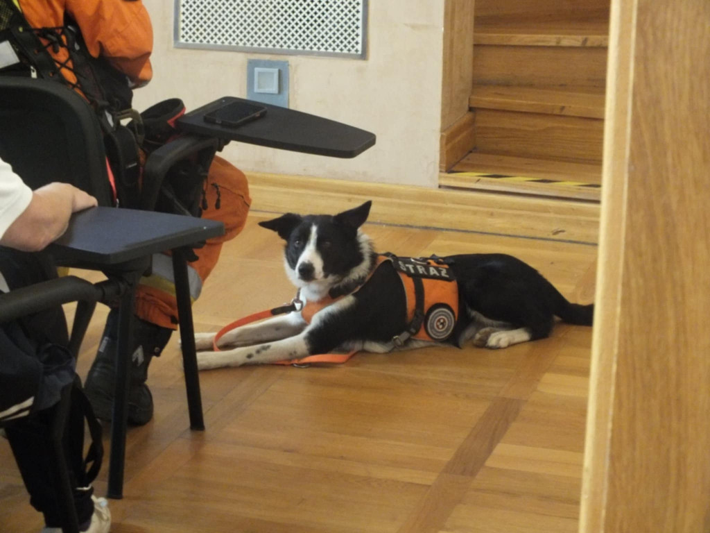 Tarnowskie Góry. Akcja przed Chemikiem, konferencja...