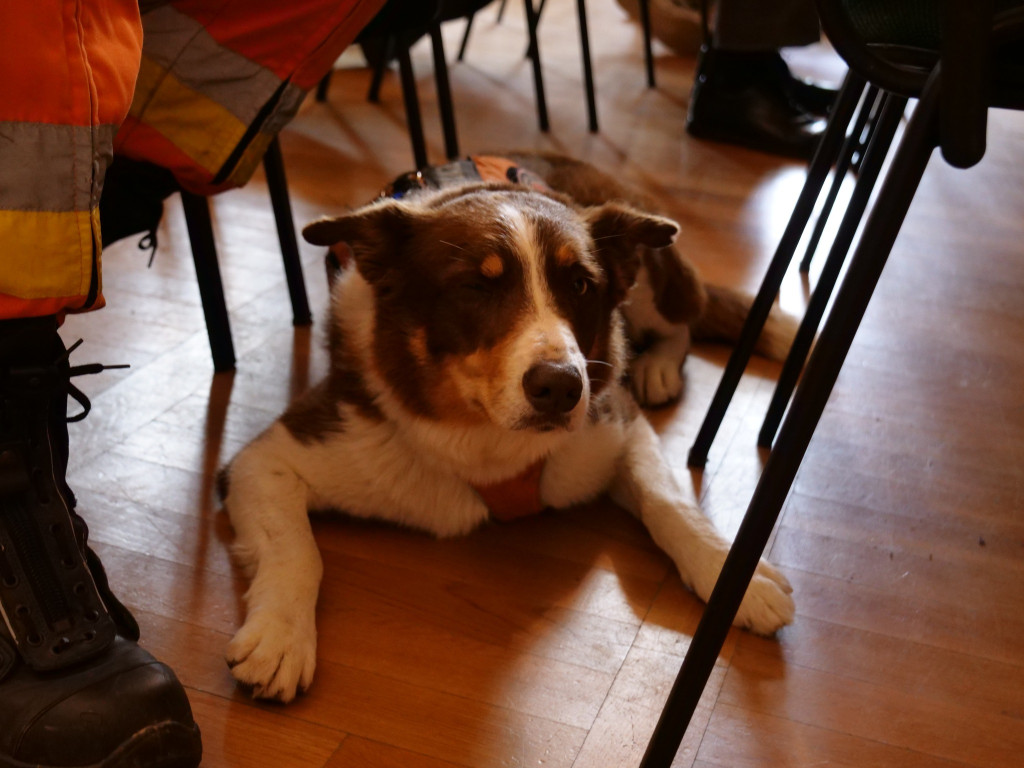 Tarnowskie Góry. Akcja przed Chemikiem, konferencja...