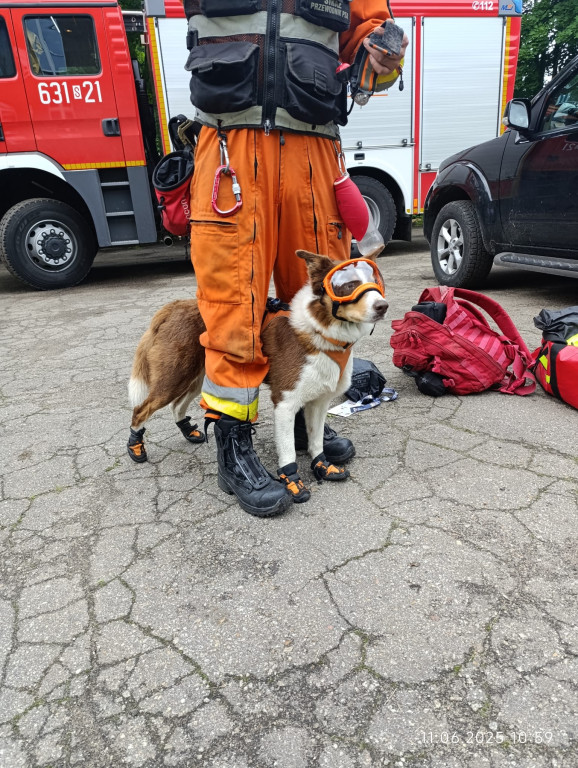 Tarnowskie Góry. Akcja przed Chemikiem, konferencja...
