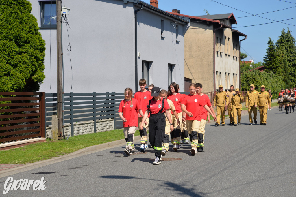Święto Miasteczka Śląskiego. Korowód, Elvis i...