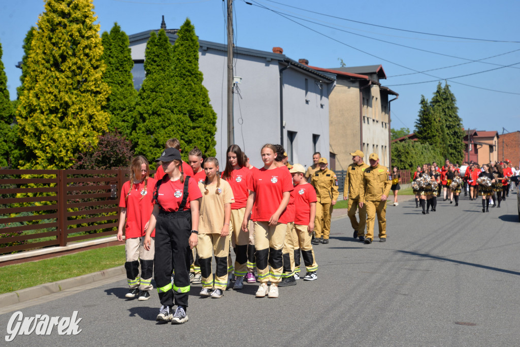 Święto Miasteczka Śląskiego. Korowód, Elvis i...