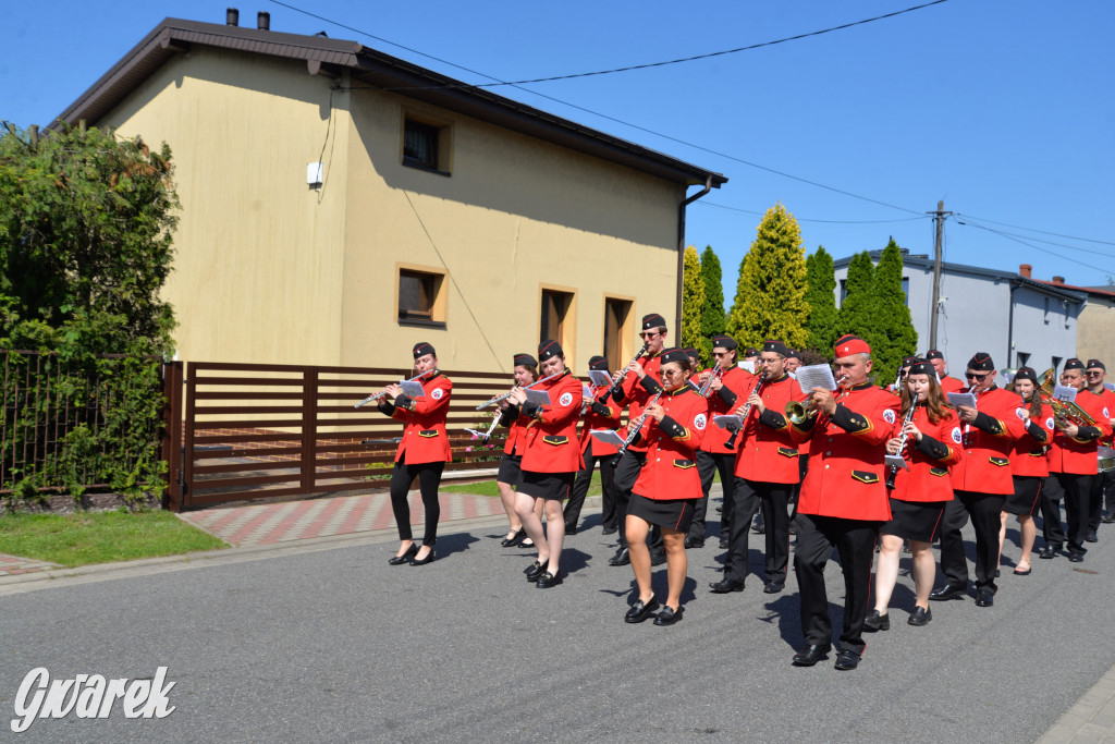 Święto Miasteczka Śląskiego. Korowód, Elvis i...