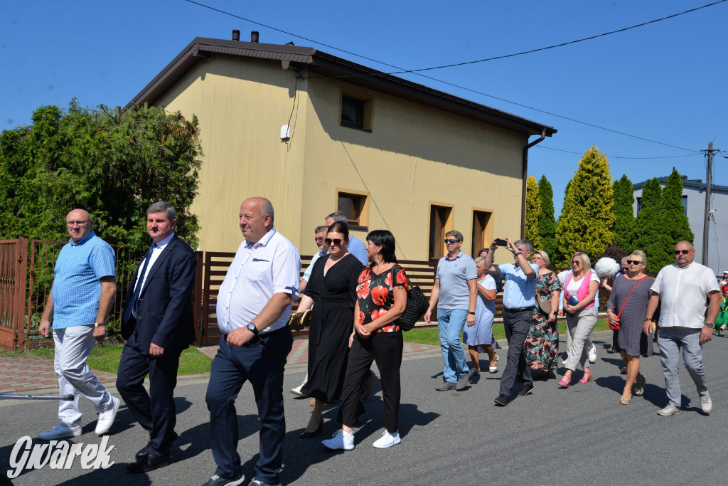 Święto Miasteczka Śląskiego. Korowód, Elvis i...