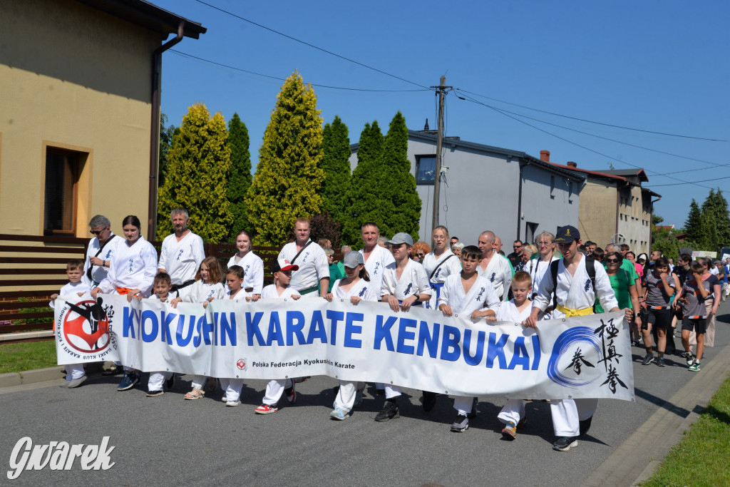 Święto Miasteczka Śląskiego. Korowód, Elvis i...
