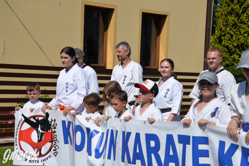 Święto Miasteczka Śląskiego. Korowód, Elvis i...