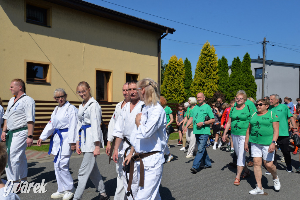 Święto Miasteczka Śląskiego. Korowód, Elvis i...