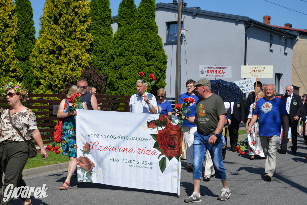 Święto Miasteczka Śląskiego. Korowód, Elvis i...