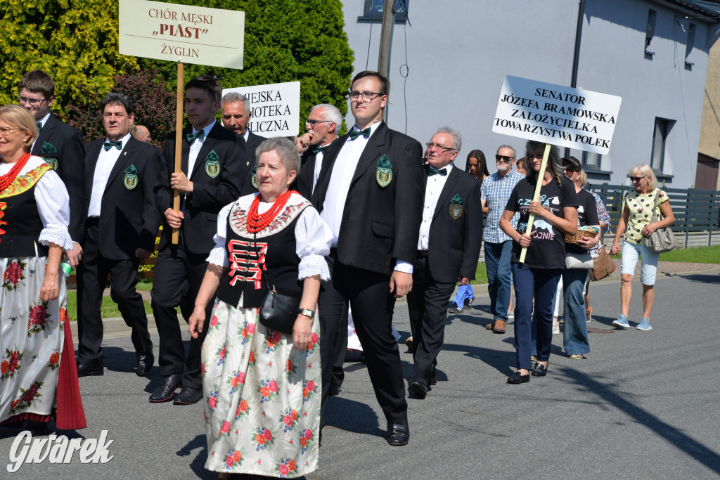 Święto Miasteczka Śląskiego. Korowód, Elvis i...