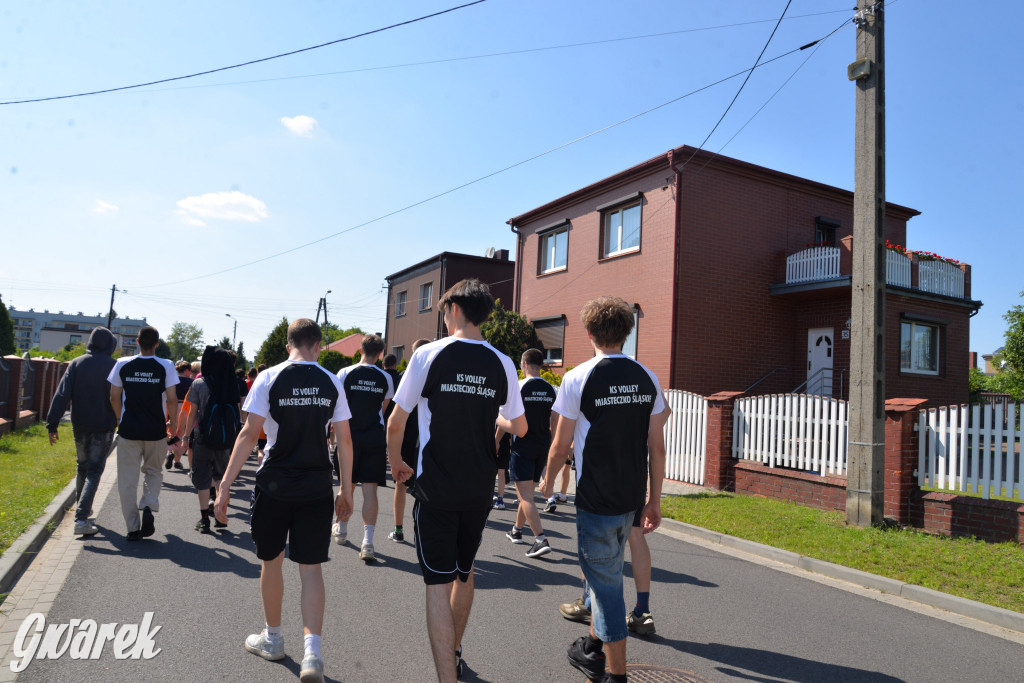 Święto Miasteczka Śląskiego. Korowód, Elvis i...