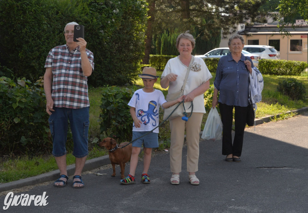 Święto Miasteczka Śląskiego. Korowód, Elvis i...