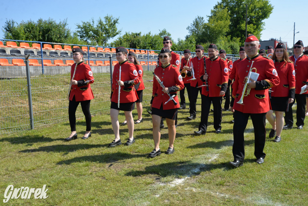 Święto Miasteczka Śląskiego. Korowód, Elvis i...