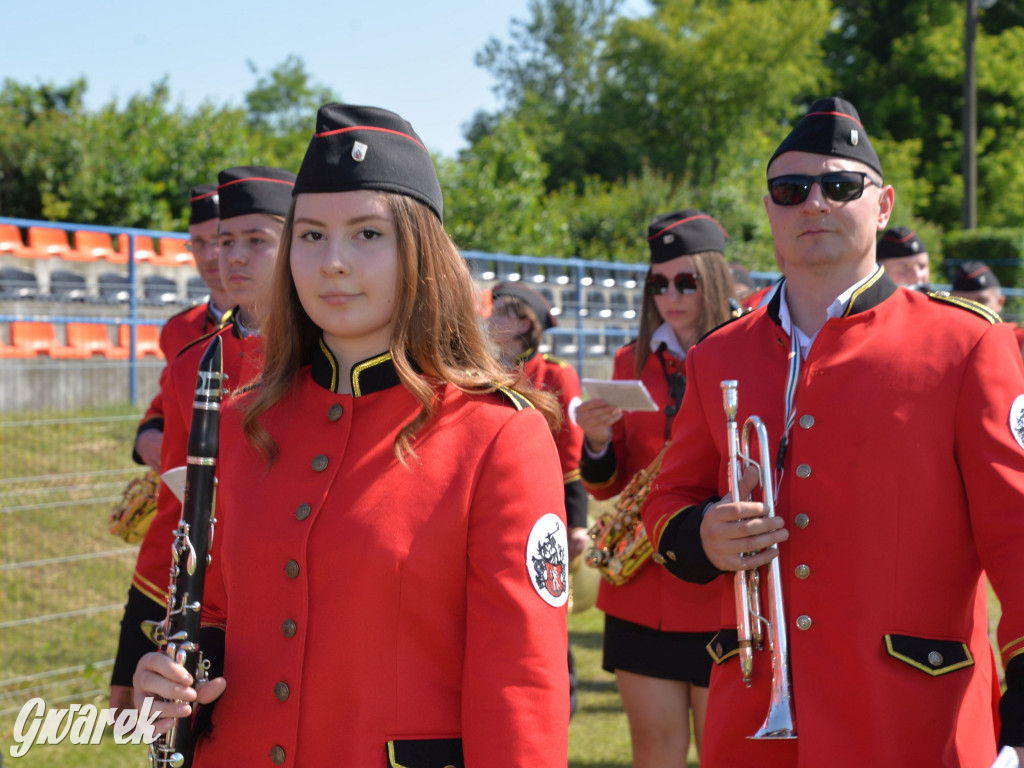 Święto Miasteczka Śląskiego. Korowód, Elvis i...
