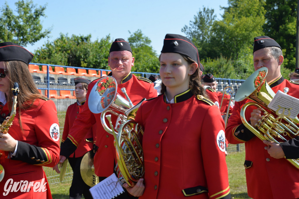 Święto Miasteczka Śląskiego. Korowód, Elvis i...