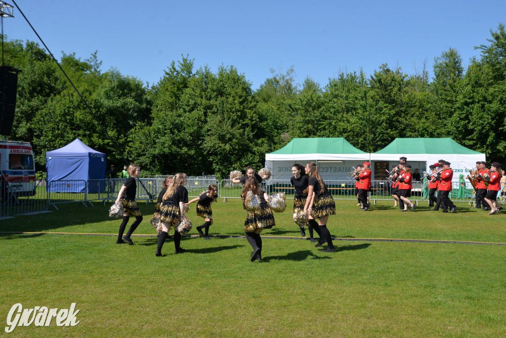 Święto Miasteczka Śląskiego. Korowód, Elvis i...
