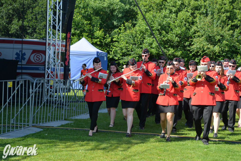 Święto Miasteczka Śląskiego. Korowód, Elvis i...