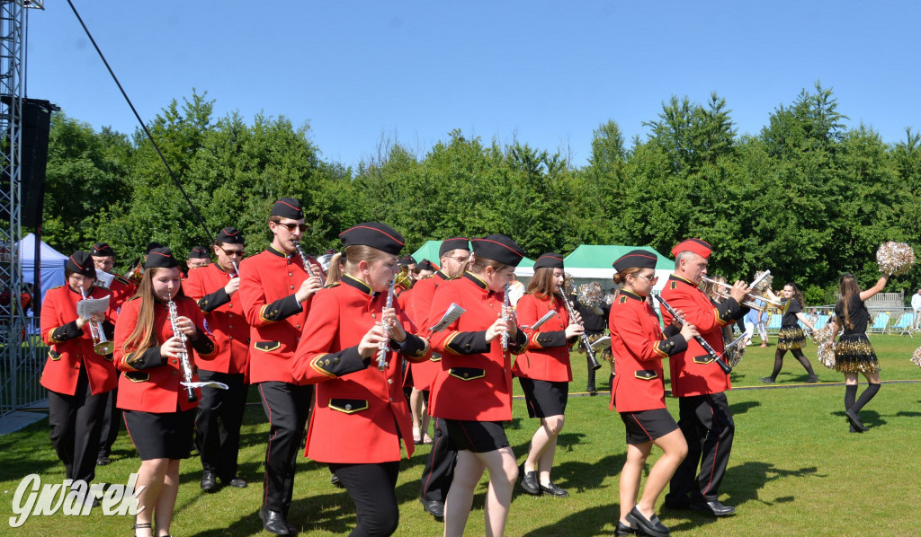 Święto Miasteczka Śląskiego. Korowód, Elvis i...