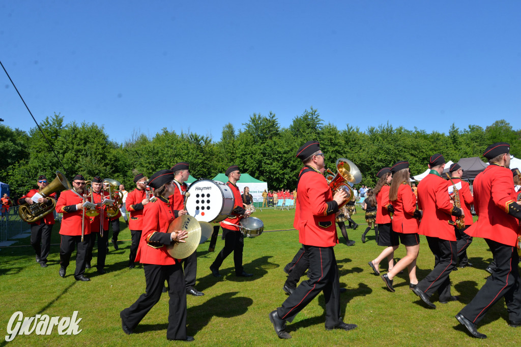 Święto Miasteczka Śląskiego. Korowód, Elvis i...