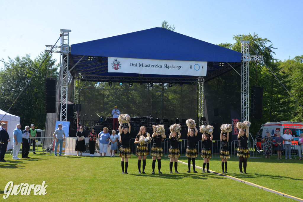 Święto Miasteczka Śląskiego. Korowód, Elvis i...