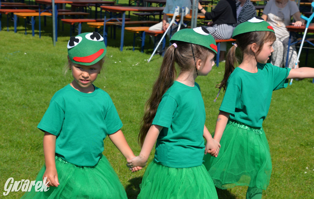 Święto Miasteczka Śląskiego. Korowód, Elvis i...