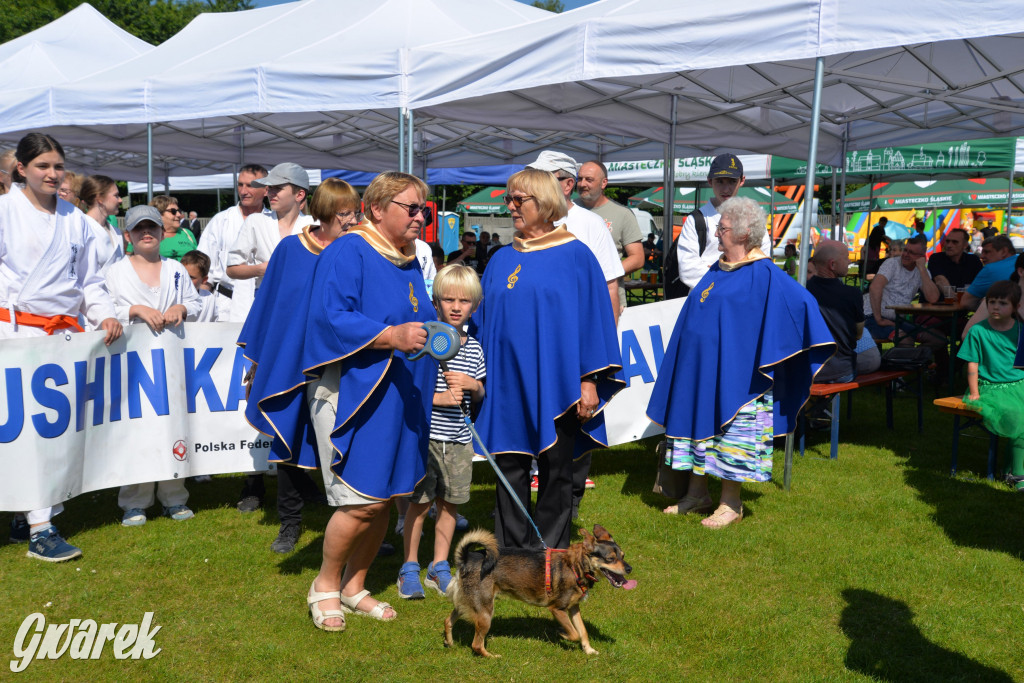 Święto Miasteczka Śląskiego. Korowód, Elvis i...