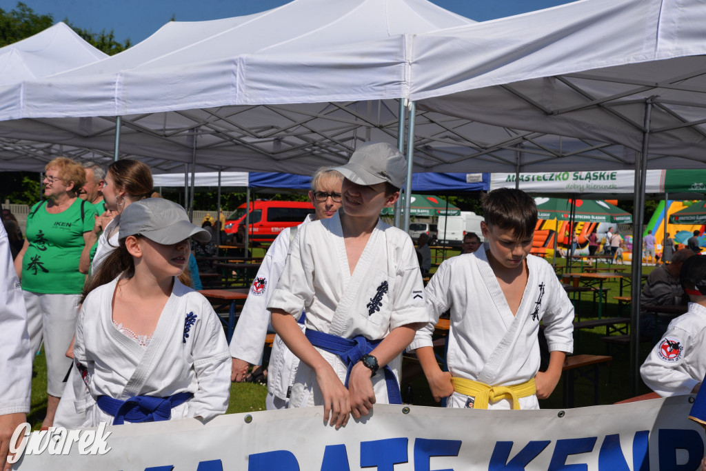 Święto Miasteczka Śląskiego. Korowód, Elvis i...