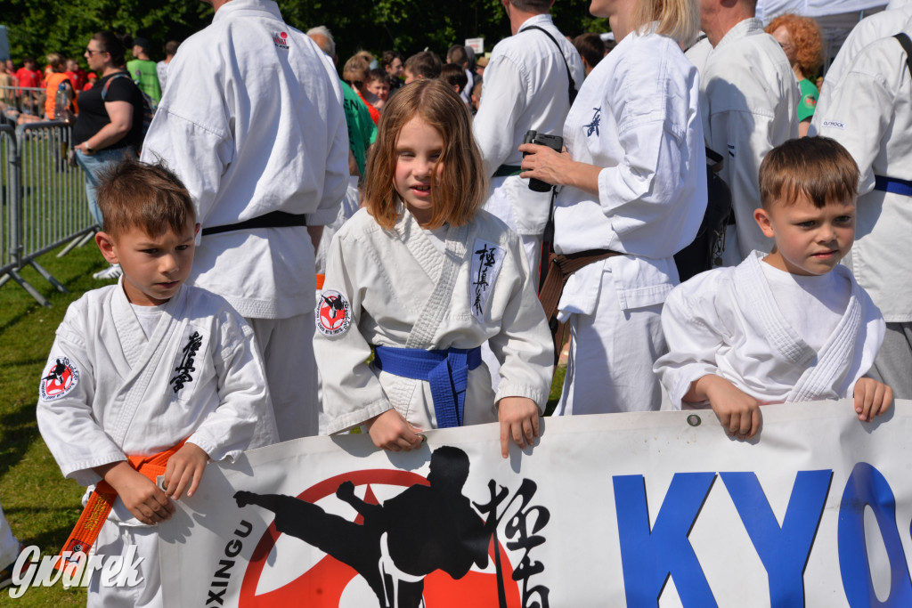 Święto Miasteczka Śląskiego. Korowód, Elvis i...