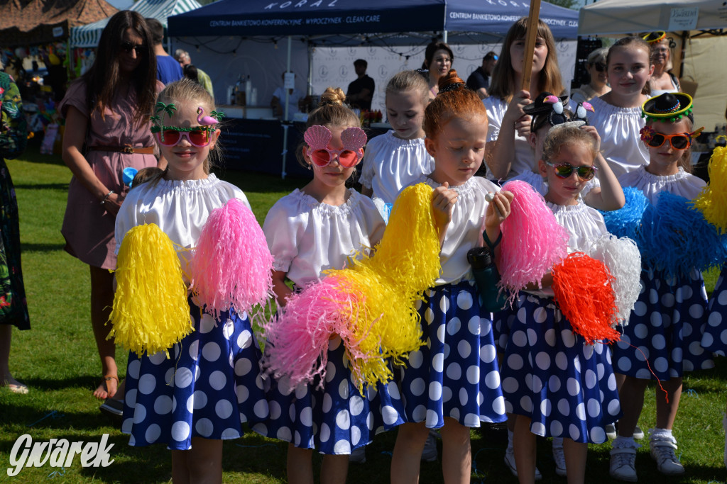 Święto Miasteczka Śląskiego. Korowód, Elvis i...