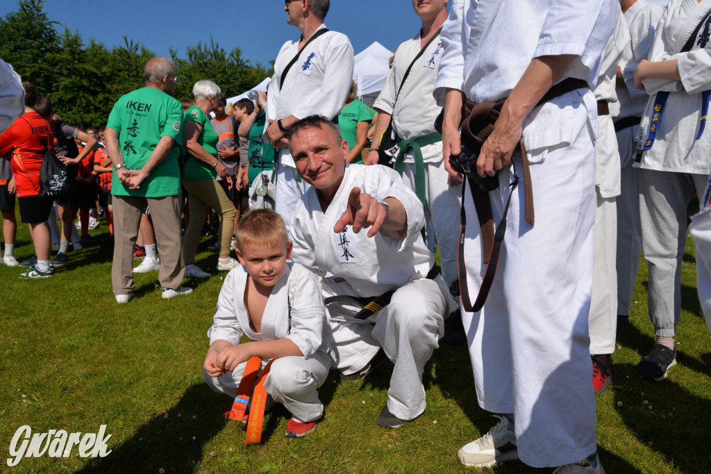 Święto Miasteczka Śląskiego. Korowód, Elvis i...