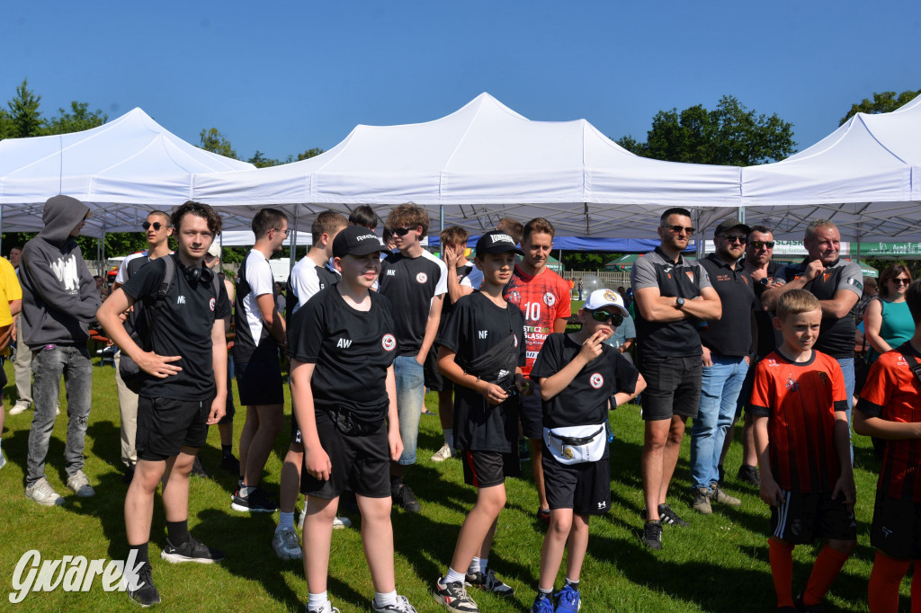 Święto Miasteczka Śląskiego. Korowód, Elvis i...