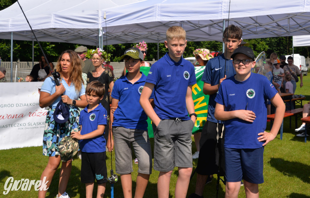 Święto Miasteczka Śląskiego. Korowód, Elvis i...