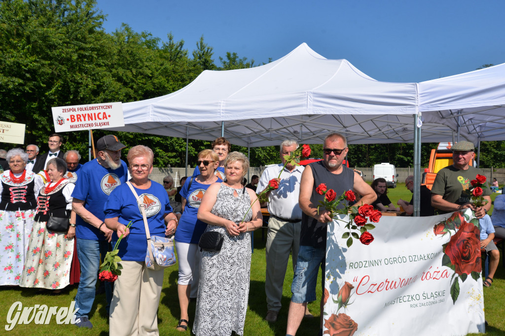 Święto Miasteczka Śląskiego. Korowód, Elvis i...