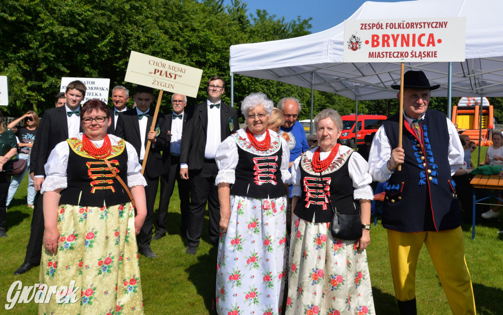 Święto Miasteczka Śląskiego. Korowód, Elvis i...