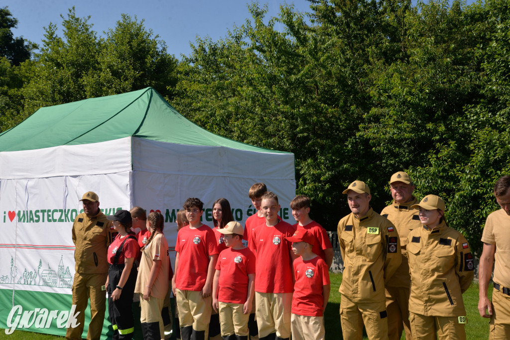 Święto Miasteczka Śląskiego. Korowód, Elvis i...
