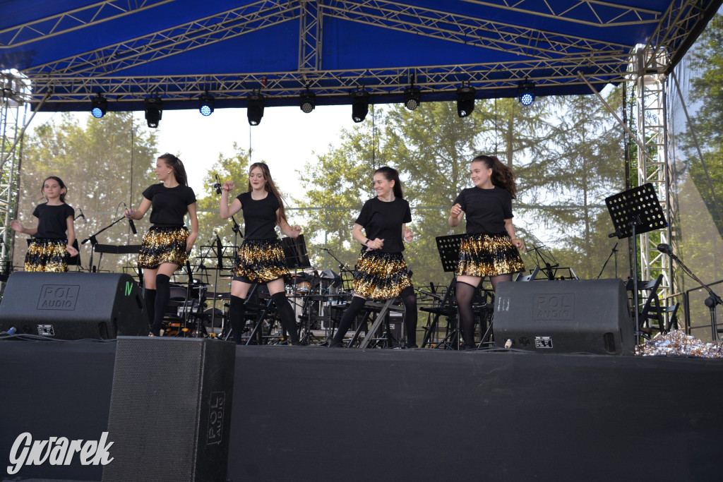 Święto Miasteczka Śląskiego. Korowód, Elvis i...