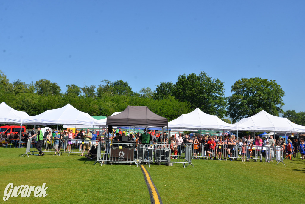Święto Miasteczka Śląskiego. Korowód, Elvis i...